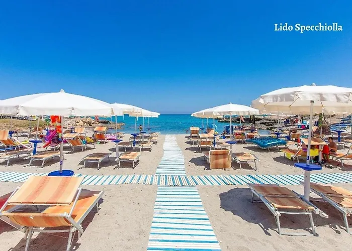 Con Prato Destro Salento *